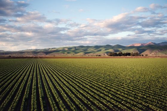 Wwf: agricoltura tra le cause principali del depauperamento ecosistemico europeo