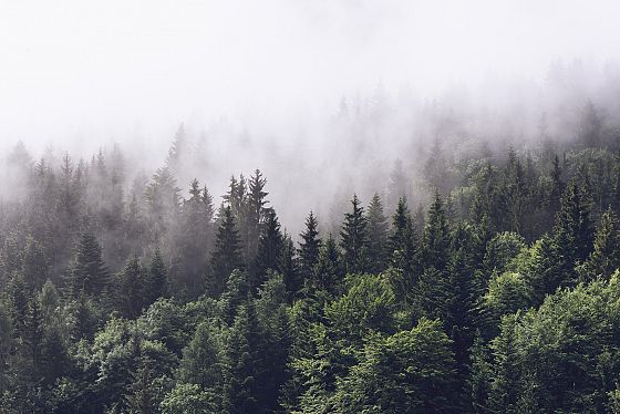 La Carta della natura per conoscere e valutare il territorio