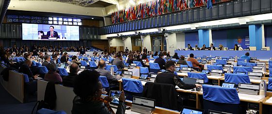 Cop 16: definita a Roma la strategia per finanziare la protezione della biodiversità