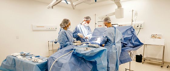 FOCUS. Il futuro dei trapianti, tra progresso, resistenze e organi creati in laboratorio
