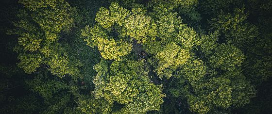 Trasparenza climatica: la leva nascosta per realizzare l’Accordo di Parigi