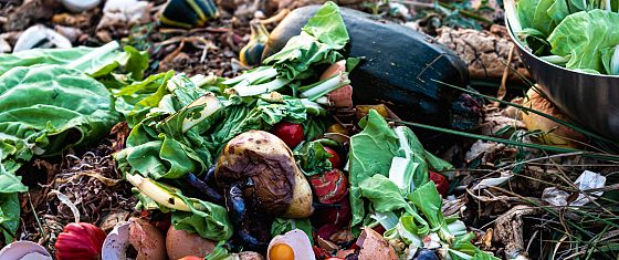 La lotta agli sprechi alimentari conviene: aiuta economia, persone e pianeta