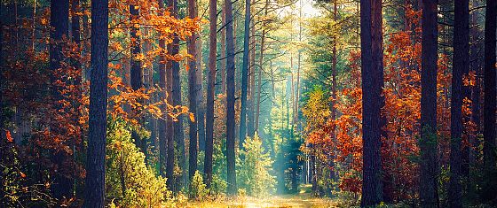 Rapporto Eea: improbabile che gli obiettivi Ue ambientali vengano raggiunti 