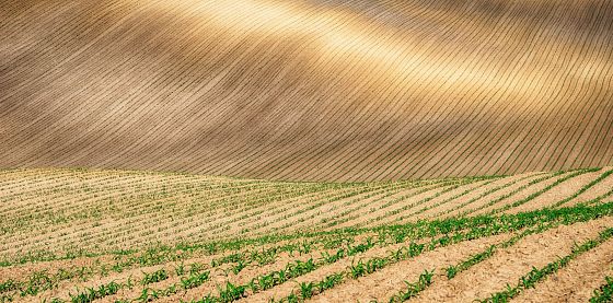 Riallineare pratiche agricole e tutela della biodiversità conviene, ecco perché