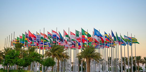 Il 15 novembre l'evento ASviS in diretta dalla Cop 30 di Belem