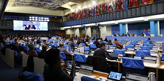 Cop 16: definita a Roma la strategia per finanziare la protezione della biodiversità