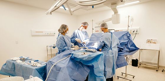 FOCUS. Il futuro dei trapianti, tra progresso, resistenze e organi creati in laboratorio