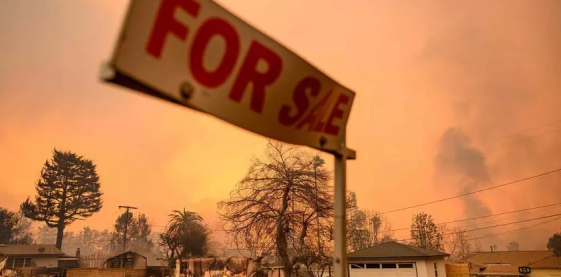 Incendi in California: crisi climatica, fuga delle assicurazioni e ruolo delle app