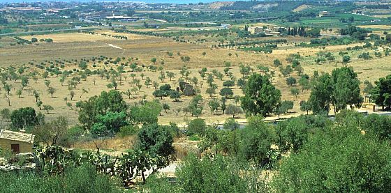 Gli europei chiedono un’agricoltura che contrasti i cambiamenti climatici