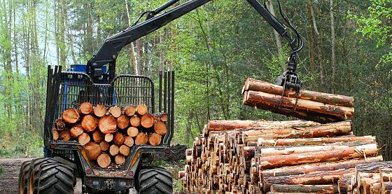 Per ogni dollaro investito in favore della natura ce ne sono 30 che la distruggono