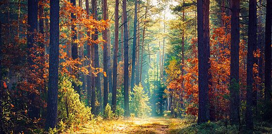 Rapporto Eea: improbabile che gli obiettivi Ue ambientali vengano raggiunti 