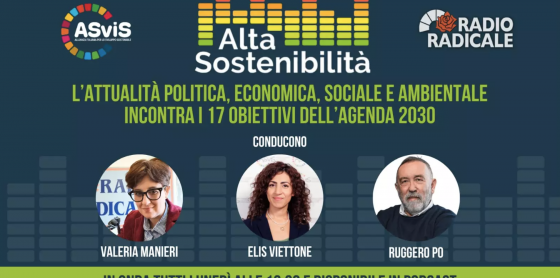 Multilateralismo e organismi internazionali. Quale fotografia attuale e quale futuro per i goal dello sviluppo sostenibile?