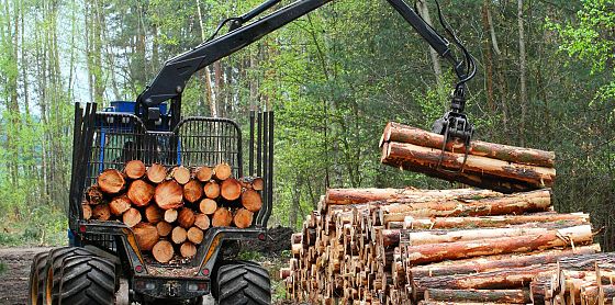 Per ogni dollaro investito in favore della natura ce ne sono 30 che la distruggono