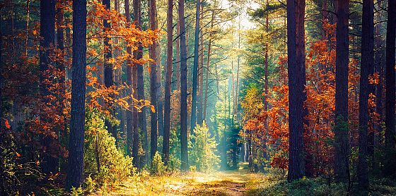 Rapporto Eea: improbabile che gli obiettivi Ue ambientali vengano raggiunti 