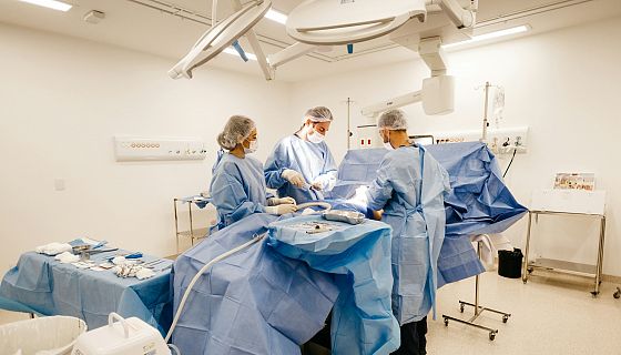 FOCUS. Il futuro dei trapianti, tra progresso, resistenze e organi creati in laboratorio