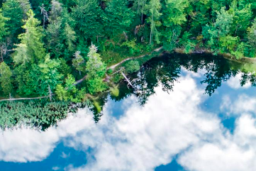 Per proteggere la biodiversità si devono eliminare i sussidi dannosi all’ambiente