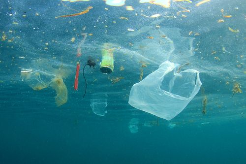 Riciclare la plastica alimenta l’economia circolare e tutela l’ecosistema marino