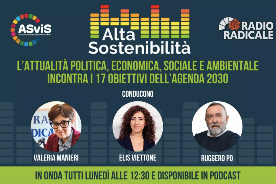 Multilateralismo e organismi internazionali. Quale fotografia attuale e quale futuro per i goal dello sviluppo sostenibile?