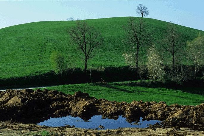 La protezione del suolo è essenziale per lo sviluppo sostenibile e il Green deal