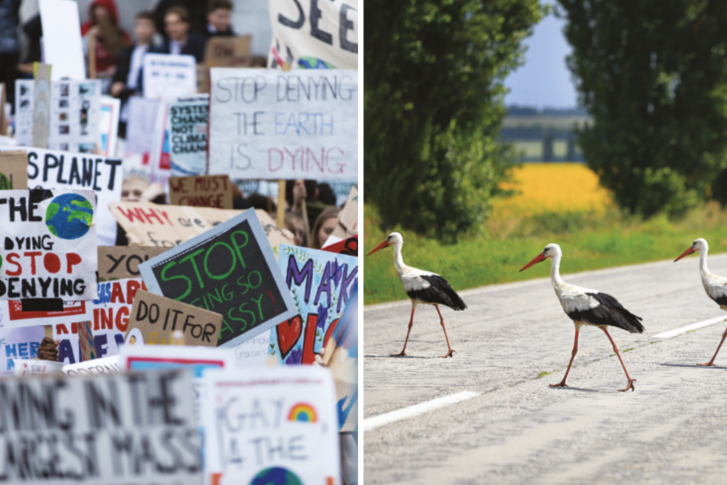 Rapporto Unep-Unece: emissioni, rifiuti e biodiversità, serve un’azione più forte