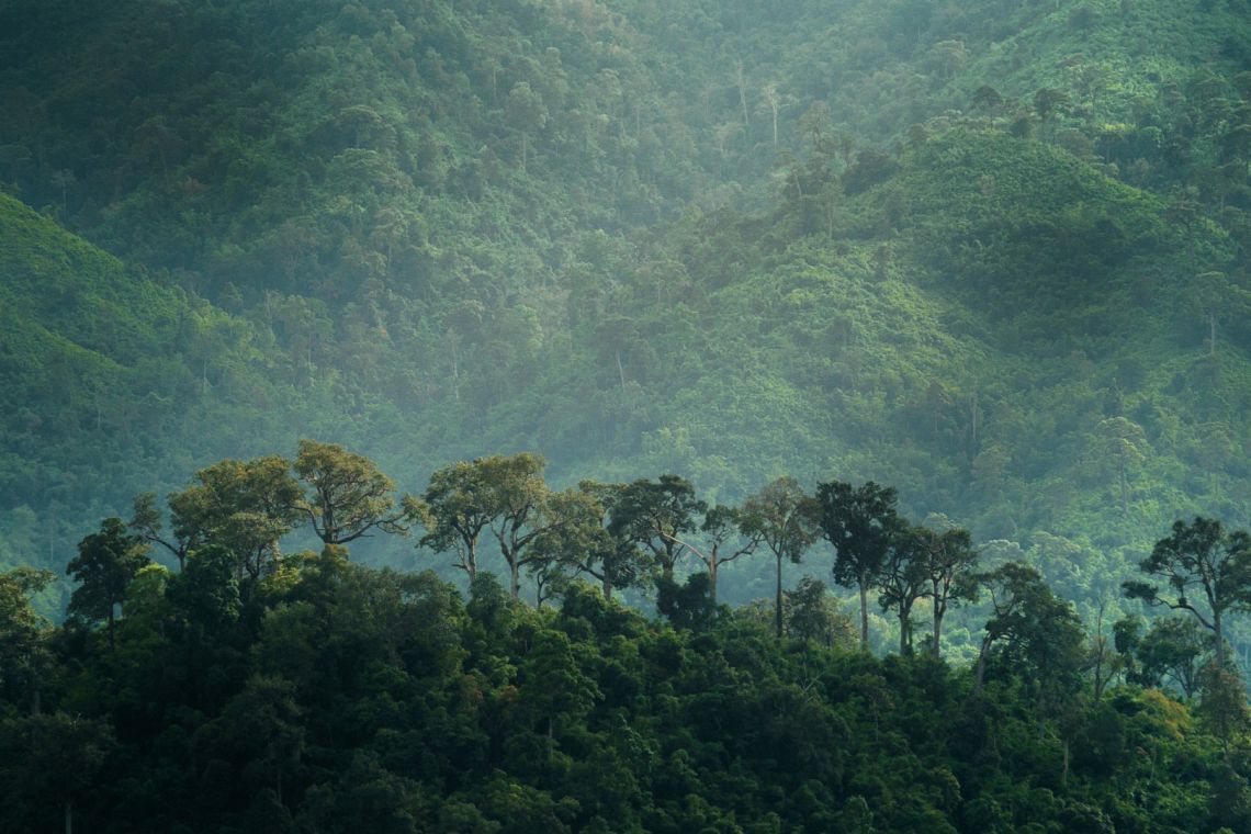 Summit sull'Amazzonia, Lula: 