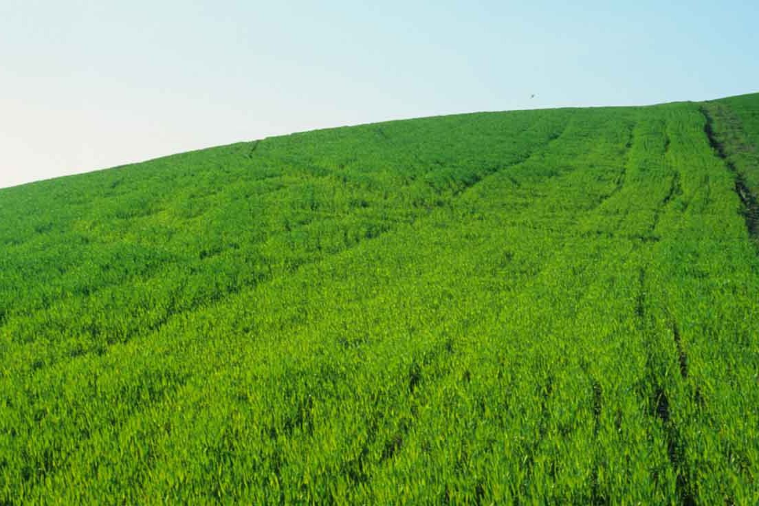 Garantire l’uso sostenibile delle risorse naturali: nuove norme per l’Ue