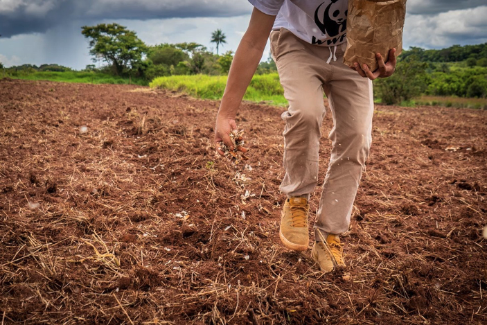 Wwf: 10 regole d'oro per un sistema alimentare sostenibile e responsabile