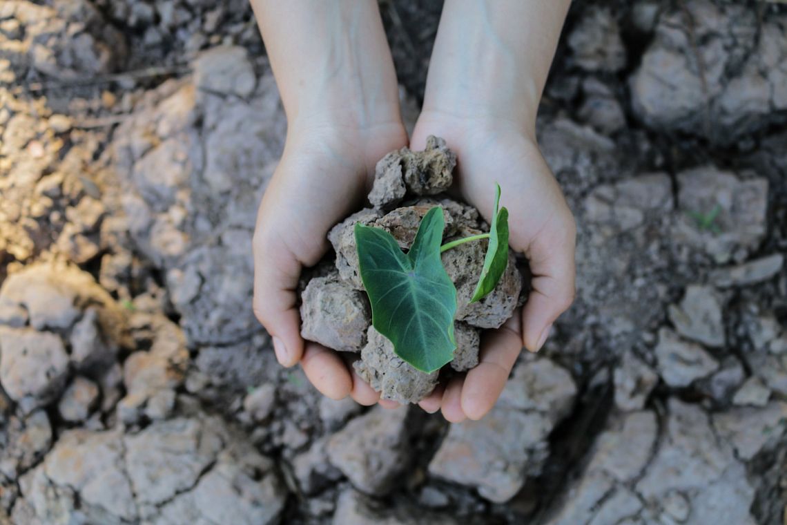 Rapporto Ambiente: un’Italia tra progressi e sfide ambientali verso il 2030