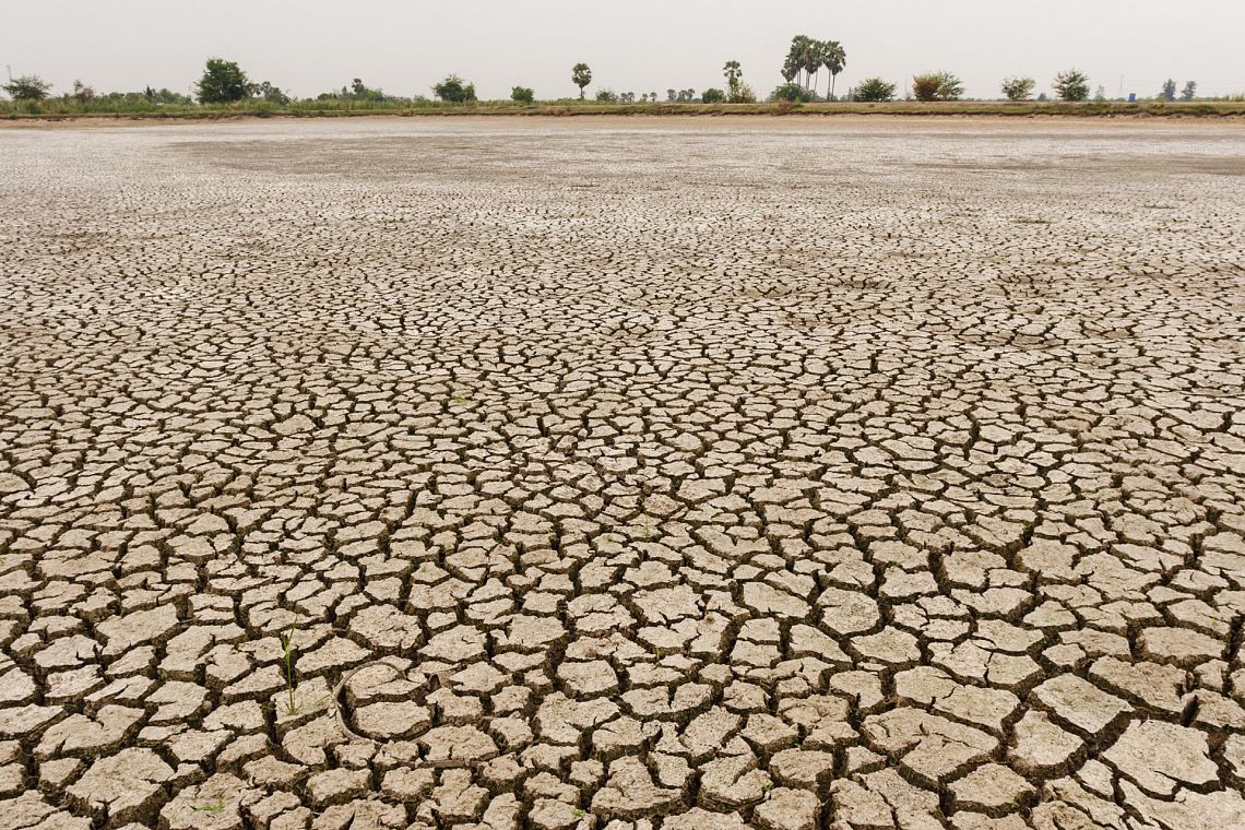 Rischi climatici in Ue, Eea: “Danni catastrofici se non agiamo, al Sud i peggiori”