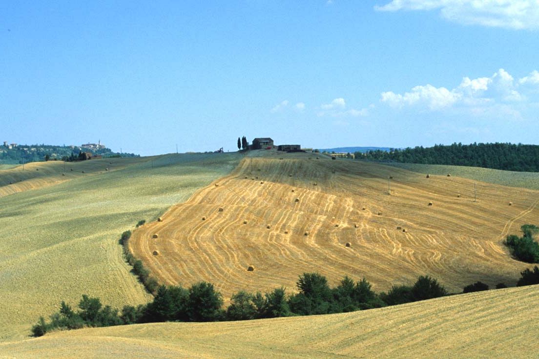 Visione a lungo termine per le aree rurali al 2040. Agricoltura verso il futuro 