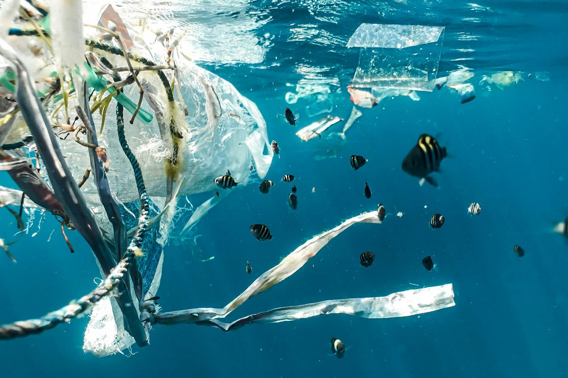 Negoziati ambientali: dalla plastica agli oceani, ecco cosa aspettarci dal 2025