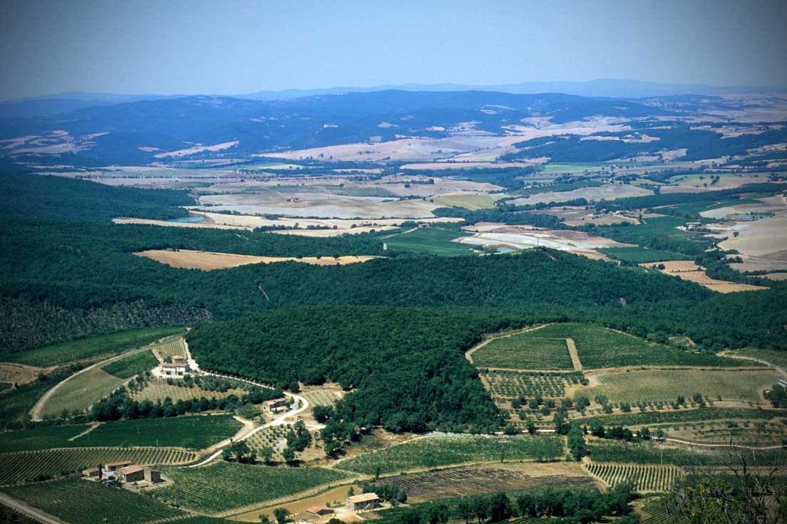 Visione per l’agricoltura e il cibo nell’Ue per il 2040 e oltre