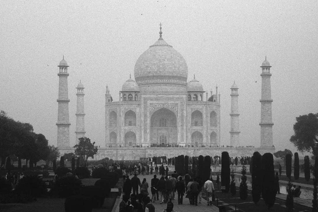 Le rubriche settimanali 