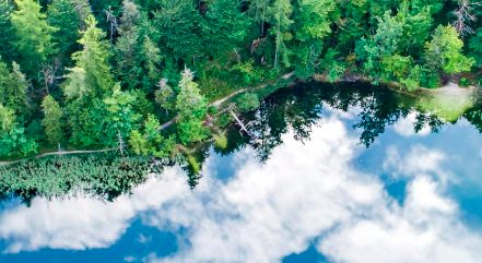 Per proteggere la biodiversità si devono eliminare i sussidi dannosi all’ambiente