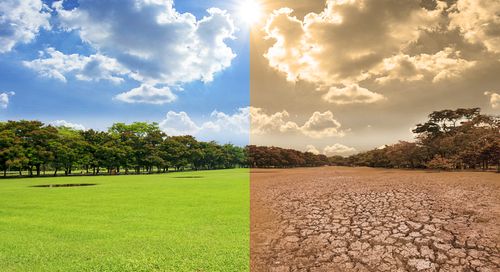 Sette stati europei lanciano la sfida: obiettivi climatici più ambiziosi