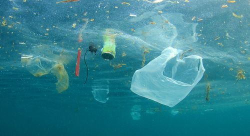 Riciclare la plastica alimenta l’economia circolare e tutela l’ecosistema marino