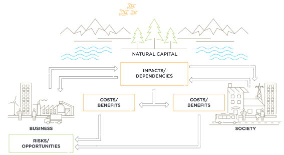 Il Natural capital protocol per la valorizzazione e inclusione del capitale naturale nel business