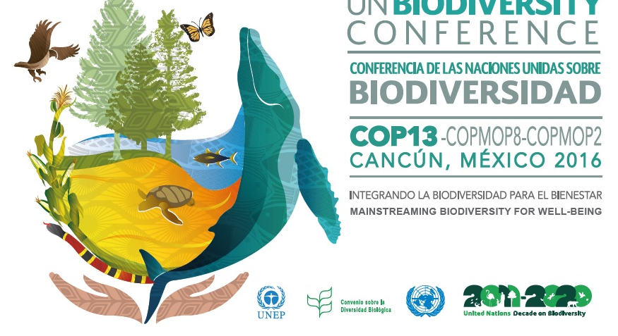 Biodiversità, da Cancun la Convenzione Onu firmata da 167 Paesi