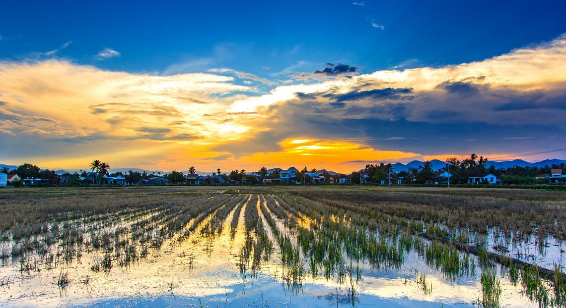 Per rendere l’agricoltura sostenibile bisogna migliorare la gestione delle acque