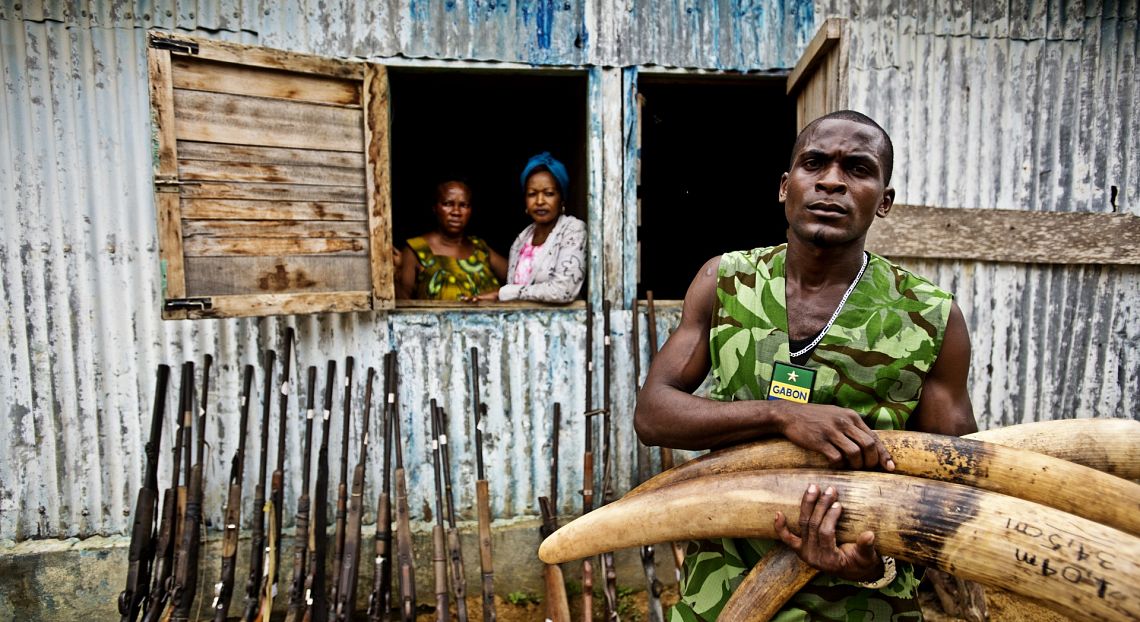 Cina: da gennaio 2018 messa al bando dell'avorio per salvare l'Elefante africano