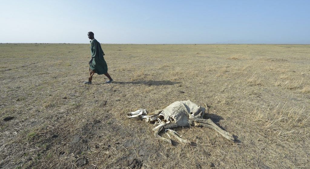 La Fao avverte: la fame nel mondo è tornata ad aumentare 