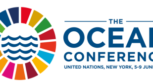 Conclusa la conferenza Onu per salvare gli oceani e usarli in modo sostenibile