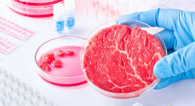 FOCUS. Le tante opportunità per frenare il consumo di carne