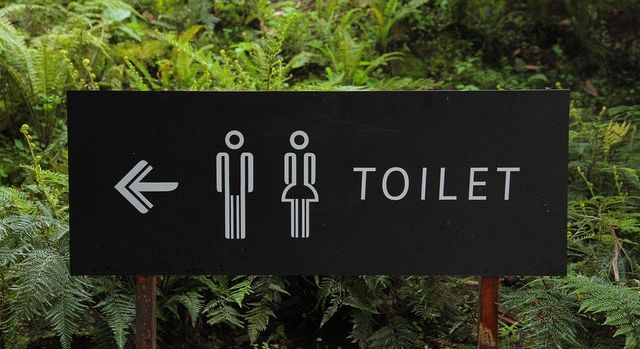 FOCUS. World toilet day: la open defecation mette a rischio 673 milioni di persone all’anno