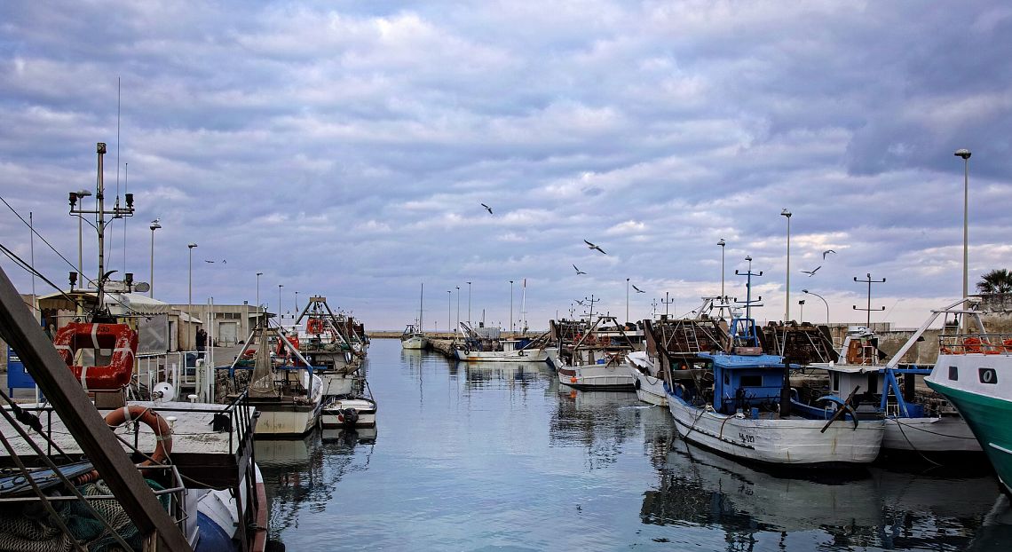 Gestione sostenibile della pesca: passi avanti, ma obiettivo ancora lontano   