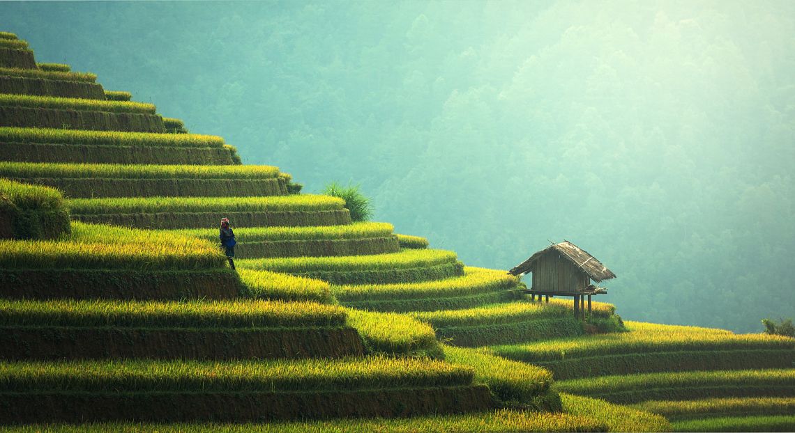 FOCUS. Dietro gli annunci della Cina: più crescita verde che lotta alle emissioni