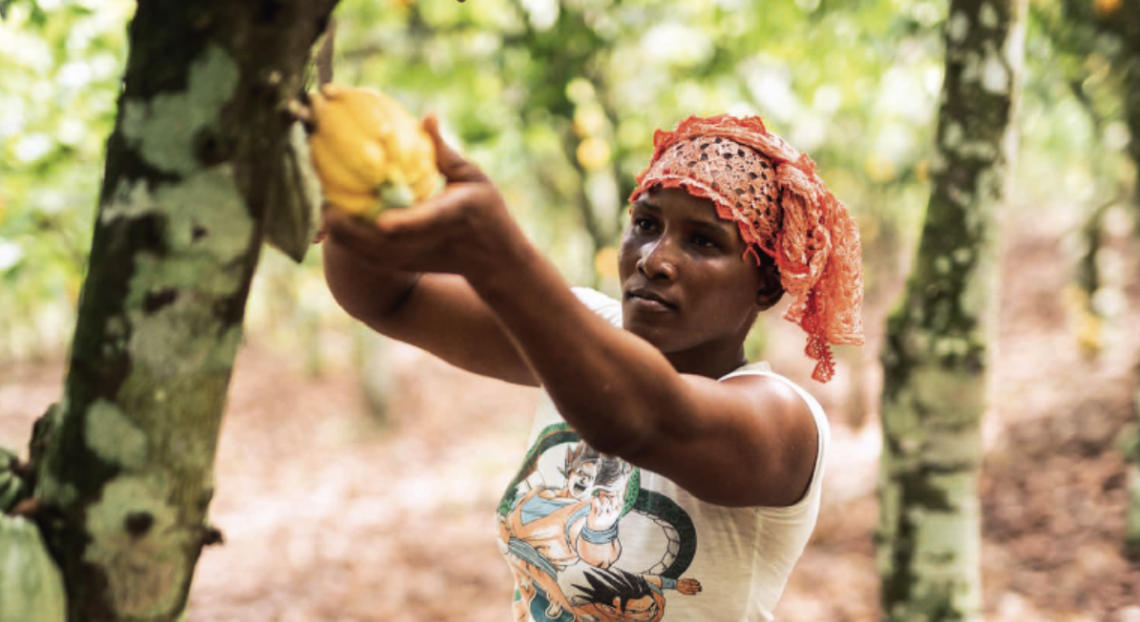 Fairtrade, un 2021 in ripresa per il mercato dei prodotti equo e solidali 