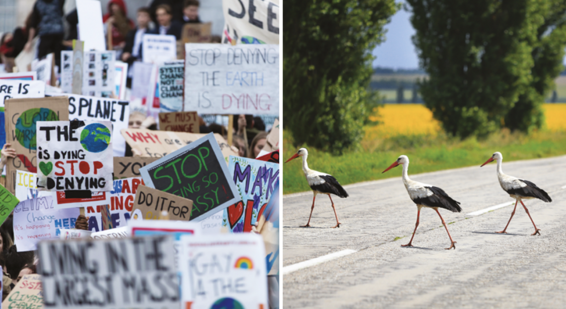 Rapporto Unep-Unece: emissioni, rifiuti e biodiversità, serve un’azione più forte