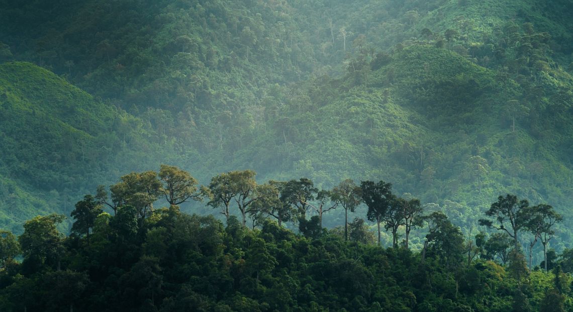 Summit sull'Amazzonia, Lula: 