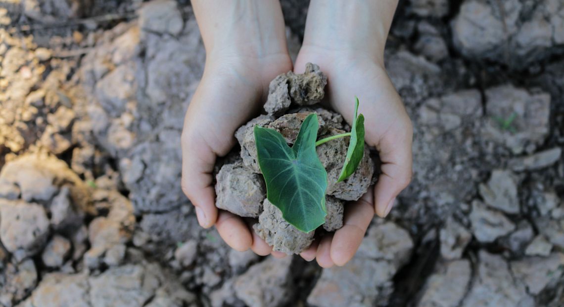 Rapporto Ambiente: un’Italia tra progressi e sfide ambientali verso il 2030